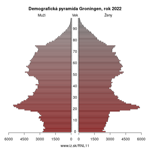 demograficky strom NL11 Groningen demografická pyramída