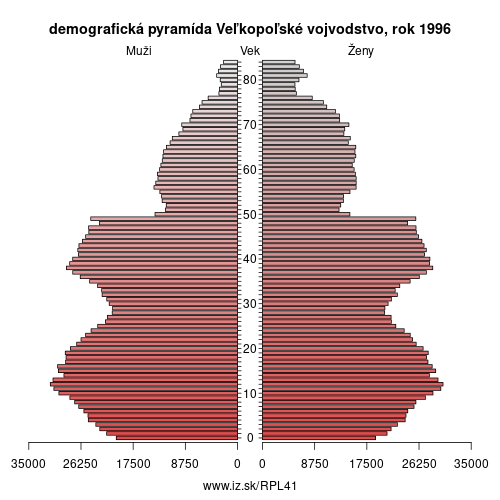 demograficky strom PL41 Veľkopoľské vojvodstvo 1996 demografická pyramída