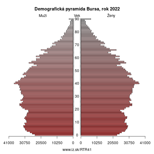 demograficky strom TR41 Bursa demografická pyramída