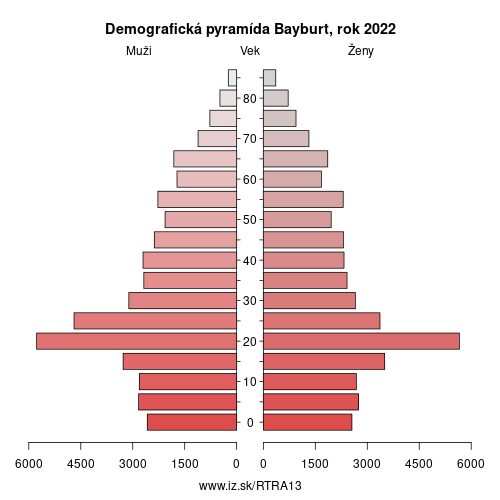 demograficky strom TRA13 Bayburt demografická pyramída