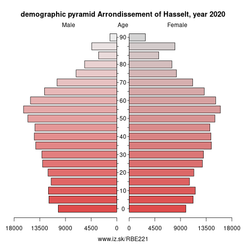demographic pyramid BE221 Arrondissement of Hasselt