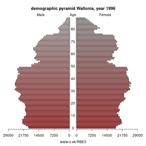 demographic pyramid BE3 1996 Wallonia, population pyramid of Wallonia