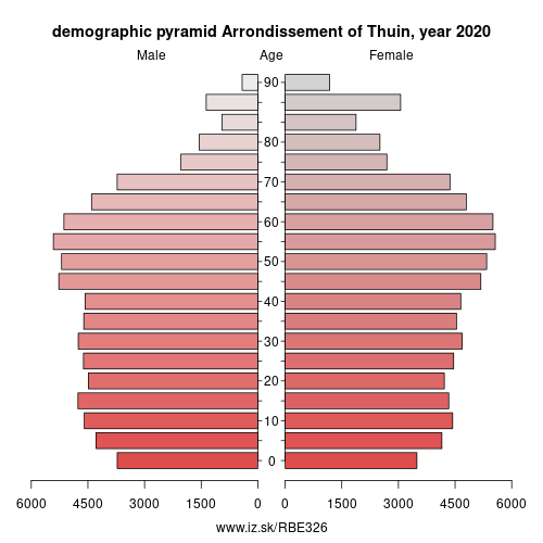 demographic pyramid BE326 Arrondissement of Thuin