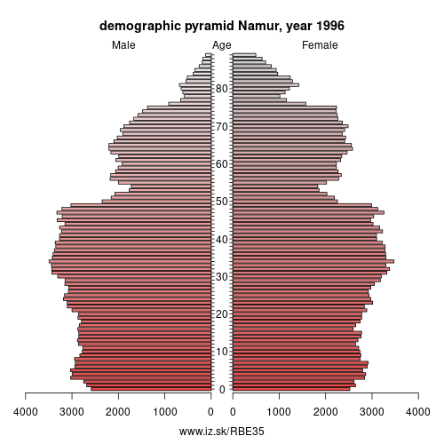 demographic pyramid BE35 1996 Province of Namur, population pyramid of Province of Namur