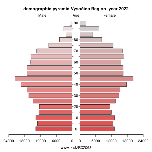 demographic pyramid CZ063 Vysočina Region