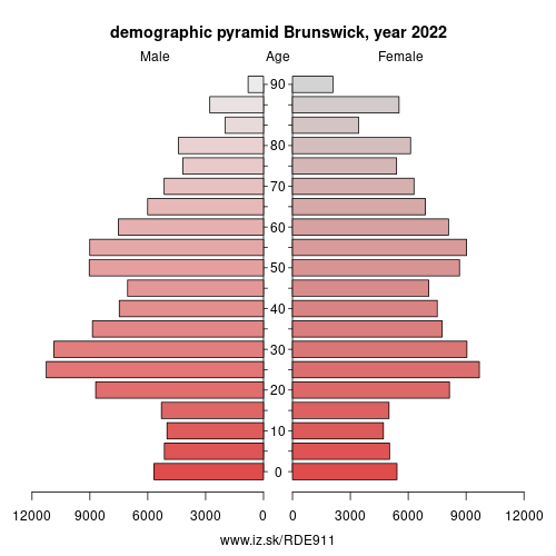 demographic pyramid DE911 Brunswick
