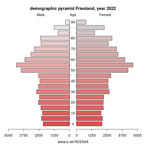 demographic pyramid DE94A Friesland (district)