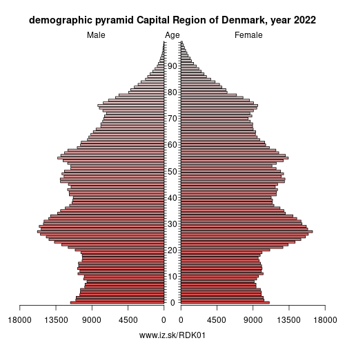 demographic pyramid DK01 Capital Region of Denmark