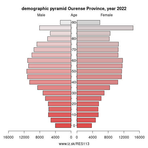 demographic pyramid ES113 Ourense