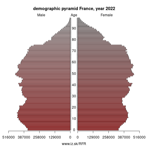 demographic pyramid FR France