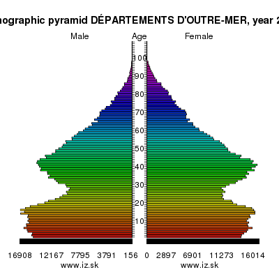 demographic pyramid DÉPARTEMENTS D