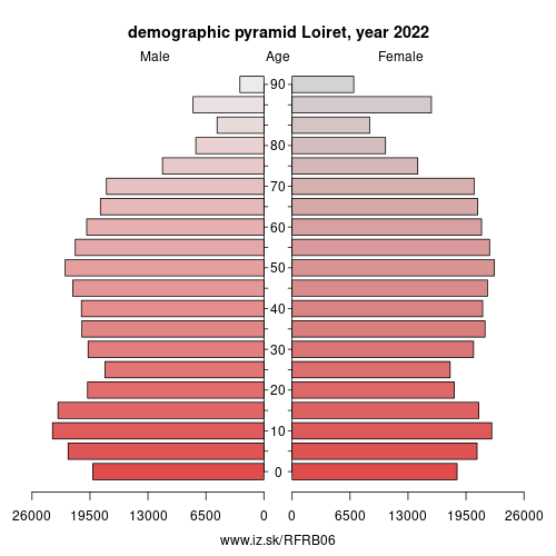 demographic pyramid FRB06 Loiret