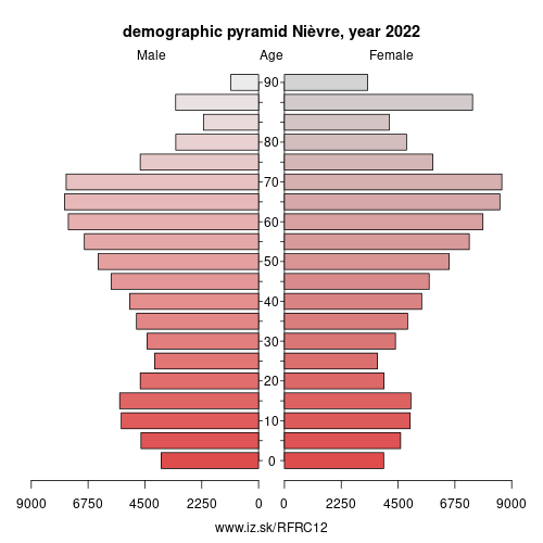demographic pyramid FRC12 Nièvre