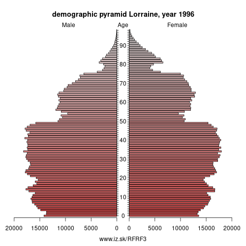 demographic pyramid FRF3 1996 Lorraine, population pyramid of Lorraine