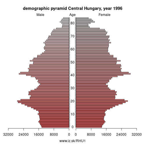 demographic pyramid HU1 1996 Central Hungary, population pyramid of Central Hungary