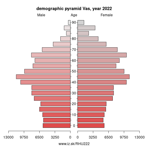 demographic pyramid HU222 Vas County