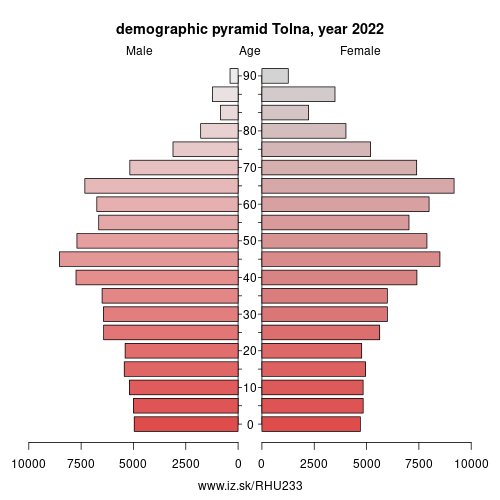 demographic pyramid HU233 Tolna County