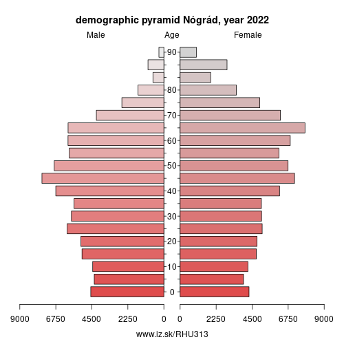 demographic pyramid HU313 Nógrád County