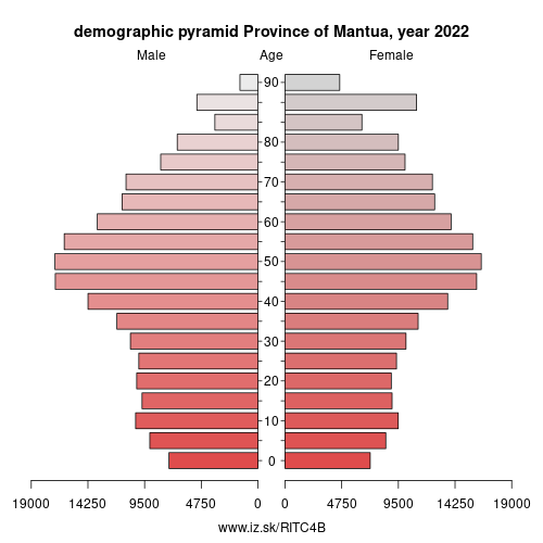 demographic pyramid ITC4B Province of Mantua
