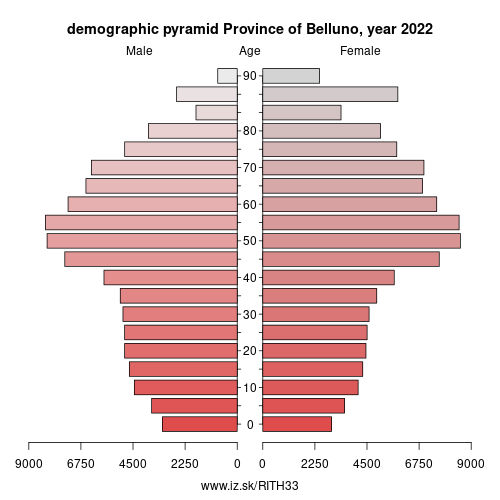 demographic pyramid ITH33 Province of Belluno