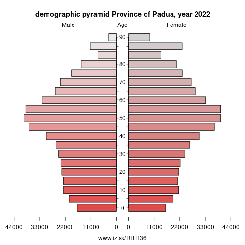 demographic pyramid ITH36 Province of Padua