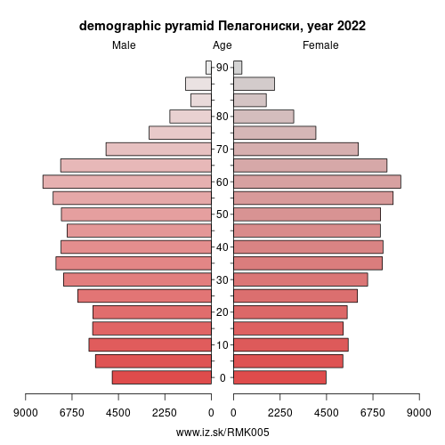 demographic pyramid MK005 Pelagonia Statistical Region