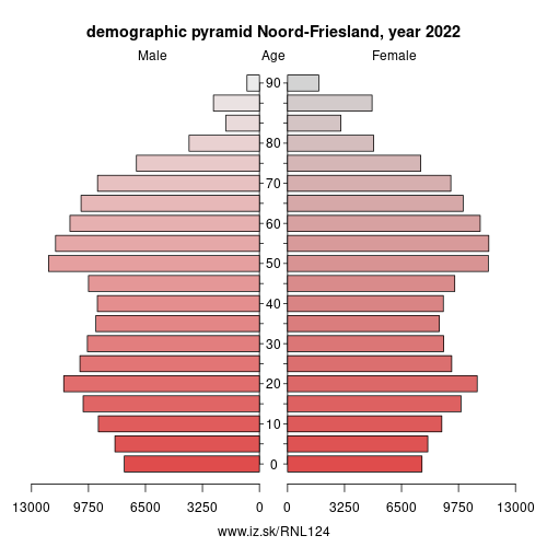 demographic pyramid NL124 Noord-Friesland