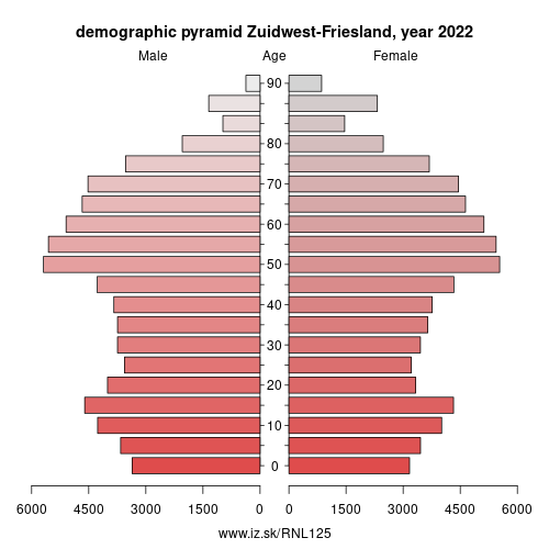 demographic pyramid NL125 Zuidwest-Friesland