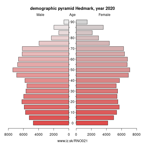demographic pyramid NO021 Hedmark