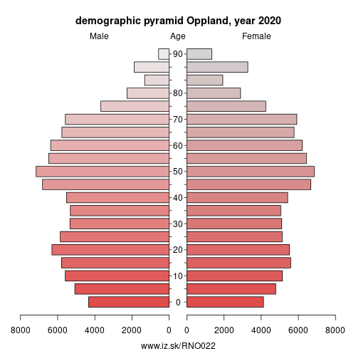 demographic pyramid NO022 Oppland