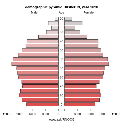 demographic pyramid NO032 Buskerud