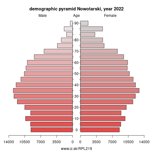demographic pyramid PL219 Nowotarski