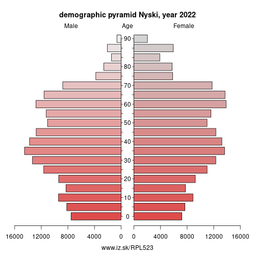 demographic pyramid PL523 Nyski