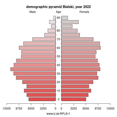 demographic pyramid PL811 Bialski