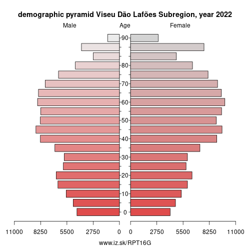 demographic pyramid PT16G Viseu Dão Lafões Subregion