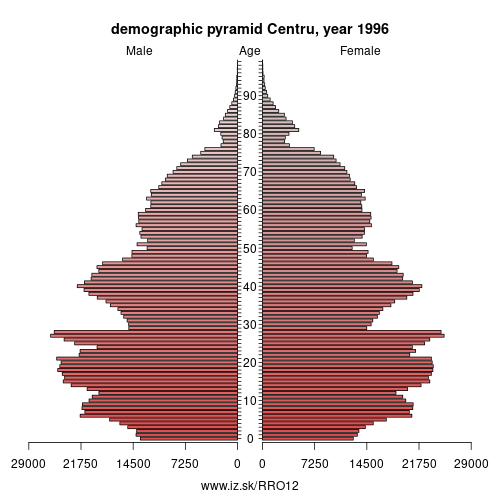 demographic pyramid RO12 1996 Centru, population pyramid of Centru