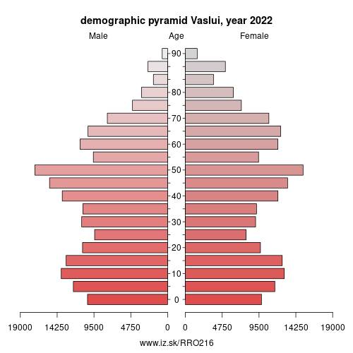 demographic pyramid RO216 Vaslui