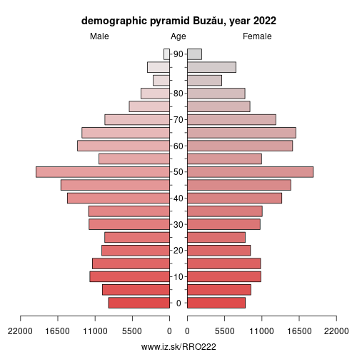 demographic pyramid RO222 Buzău