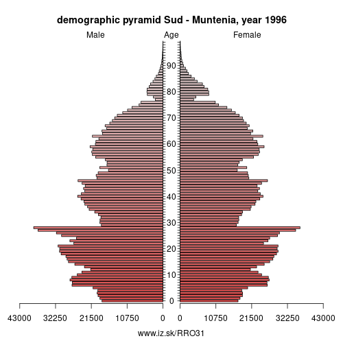 demographic pyramid RO31 1996 Sud-Muntenia, population pyramid of Sud-Muntenia