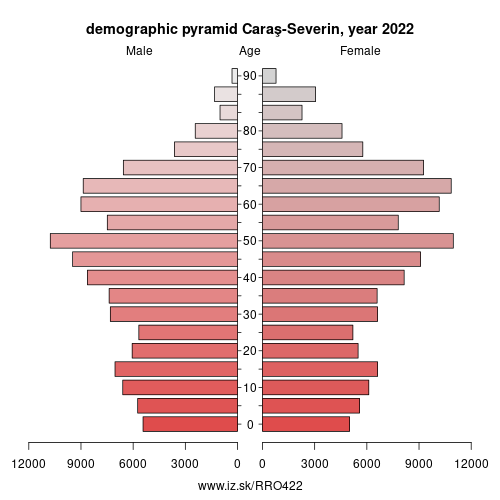 demographic pyramid RO422 Caraş-Severin