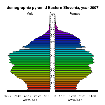 demographic pyramid Eastern Slovenia, 