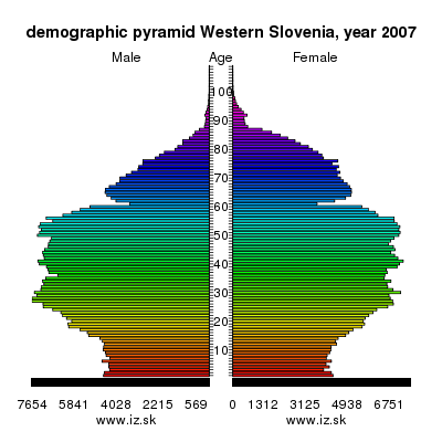 demographic pyramid Western Slovenia, 