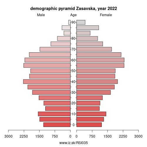 demographic pyramid SI035 Zasavska