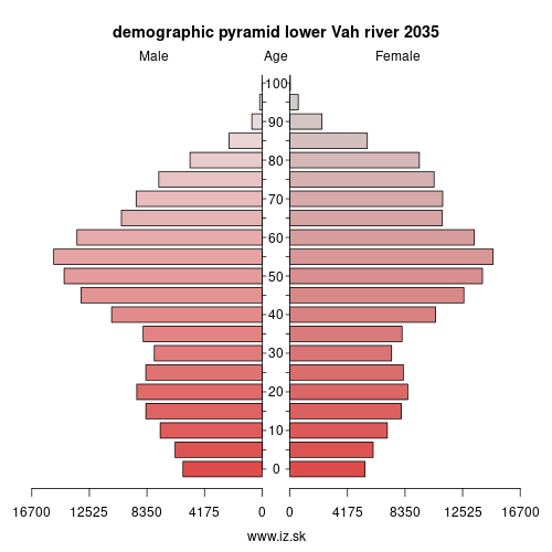 demographic pyramid lower Vah river 2035