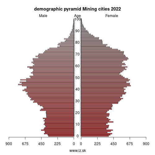 demographic pyramid Mining cities 2023