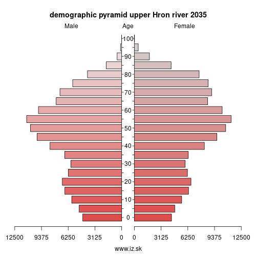 demographic pyramid upper Hron river 2035