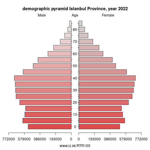 demographic pyramid TR100 Istanbul Province