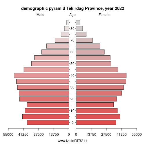 demographic pyramid TR211 Tekirdağ Province