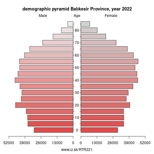 demographic pyramid TR221 Balıkesir Province