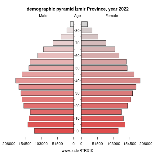 demographic pyramid TR310 İzmir Province